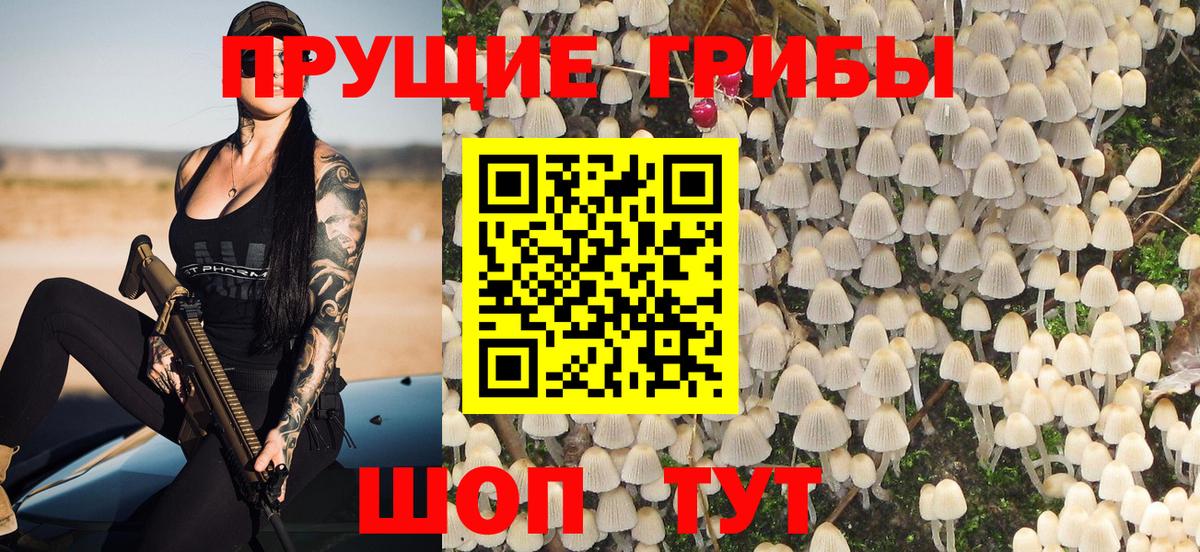 Псилоцибиновые грибы Psilocybe Жуковский