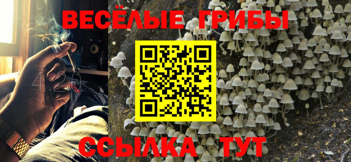Каннабис  ГАШ  Жуковский  Мефедрон кристаллы  ЭКСТАЗИ  Вход с VPN  КОКАИН 